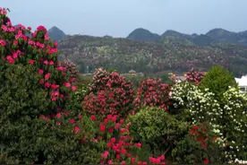 贵州各市州人口排行榜出炉，最多的居然不是贵阳图片