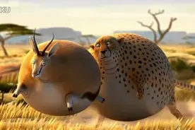 爆笑来袭  超肥花豹追逐超肥羚羊  猜中了开头没猜中结尾图片