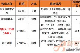 周末合肥3家推盘 庐阳纯新盘首开价1.2万/平优势大图片