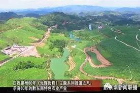 孕育了60年的黔东南特色农业产业图片
