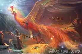 “凤凰涅槃，浴火重生”中的“凤凰”原来指的是另外一种鸟！图片