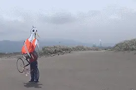 论下楼梯的最佳方式，笑死我了图片