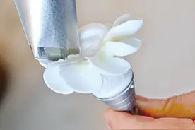 制作花卉裱花蛋糕的几种手法 学会了你就可以开蛋糕店啦图片