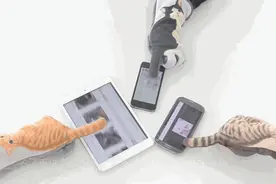 二手货！歪果仁居然喜欢刷二手货！图片