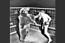 1949年人熊大战，狗熊戴了嘴套和手套，最后一张输赢立见分晓图片