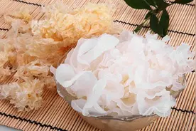 肾炎患者吃什么食物好？肾炎的五种食疗法推荐图片