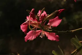 《我和你》图片