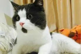 今天我们来讲一个“成语故事” 额...其实是事故！图片