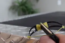 男子将发夹与冰棍棒相结合，结果得到了一种古代兵器图片