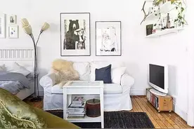 家具用这个擦一擦，30年不用换！图片