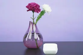 白糖的4种高能用法！用来吃的话只get到它1%的用处图片