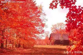 我的初恋，此生你将是我的典藏！图片