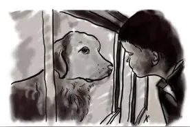 分享一个狗狗漫画，太感人了，我都看哭了图片