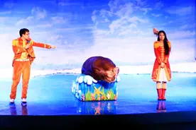 极地馆海狮表演视频，精彩实拍拿走不谢！视频封面