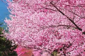 剩男的四大经典口头禅图片