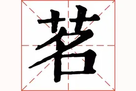 喝了那么多茶，你知道茗茶的含义吗？图片