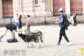 社会实验：中国街头虐待小狗测试路人反应图片