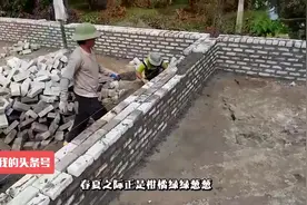 果农疑惑：柑橘老叶发黄是怎么回事？视频封面