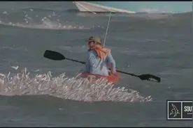 鲨鱼捕猎实拍，逼的鱼群乱飞，头一次见这场面图片