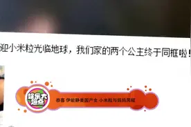 伊能静美国产女 小米粒与妈妈同筐图片