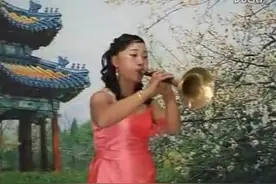 郝花唢呐独奏  跳粉墙图片
