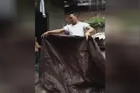 高手在民间系列，看看大神是如何表演凭空消失的。图片