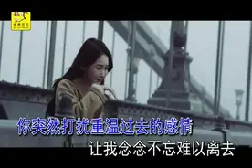 一曲冷漠《别在需要的时候想起我》爱结束以后，从此我是我你是你图片