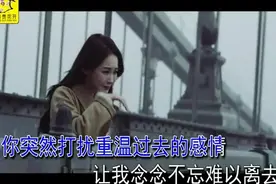 一曲冷漠《别在需要的时候想起我》爱结束以后，从此我是我你是你图片