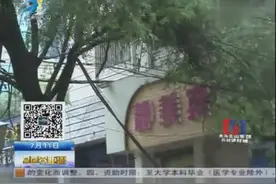 着急：大树压断电线杆 居民出行有点险视频封面