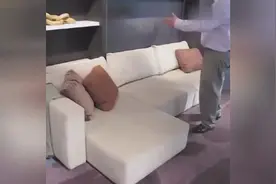 一间到处布满机关的房子，这个创意太厉害了！