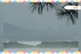 经典轻音乐演绎《云河》浪漫入心图片