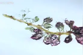 锤子来作画，秒杀艺术家图片