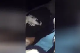 狗狗半夜跳床上把女主人叫醒，看到男孩状况后都佩服它太厉害！图片