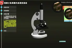生物显微镜实验视频教程