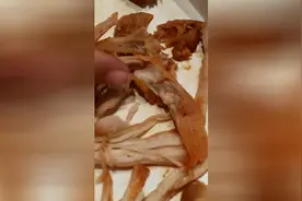 太闹心,吃肯德基居然吃出来虫子！视频封面