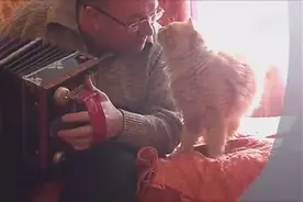 主人为爱猫弹奏手风琴，它一脸享受，不时与他碰鼻子视频封面