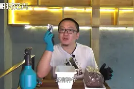 3分钟学会在家种小萝卜，吃自己种的菜最放心了图片