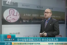 支付宝每年限额20万元 中小企业怎么办