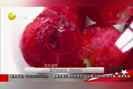 说长道短：杨梅长白虫 能吃吗？视频封面