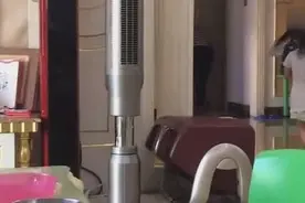 双胞胎小萝莉，妹妹吃饭还不忘照顾在便便的姐姐图片