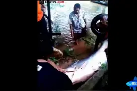 上游开闸泄洪，冲出一条大鱼，村民纷纷跳入抓鱼，几人合力才拖出图片