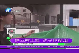 铁丝挂在树 直接勒住脖视频封面