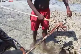 男子在退潮后去海边找章鱼，抓章鱼也需要技术，看着太爽了！图片