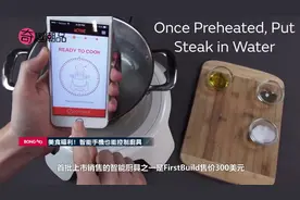 《口袋妖怪》速成攻略 智能手机也能控制厨具图片