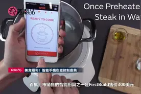 《口袋妖怪》速成攻略 智能手机也能控制厨具图片