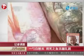 记者调查：一勺白粉末，将死之鱼活蹦乱跳图片