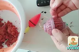 钓鱼技巧，鱼料水怪如何挂钩，钓大鱼的挂法很实用！视频封面