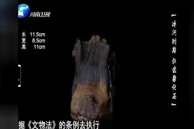 男子带着一个自称恐龙牙齿的化石上台，专家：非常好的古迹标本视频封面
