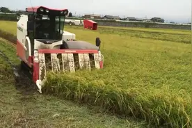 洋马水稻收割机对比久保田，哪个质量更加好？