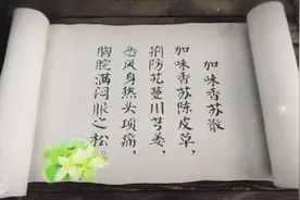 中药方剂——加味香苏散